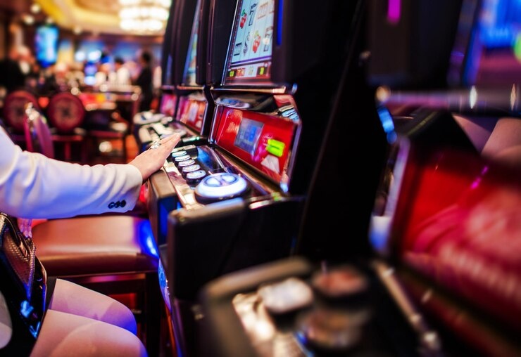 wildbet
